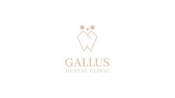 DENTYSTA Wołów Gallus Dental Clinic