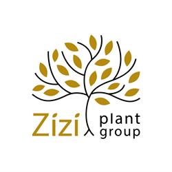Szkółka Drzew i Krzewów Ozdobnych Zizi Plant Warszawa