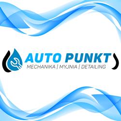 Auto Punkt