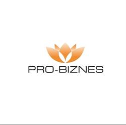 UBEZPIECZENIA PRO-BIZNES