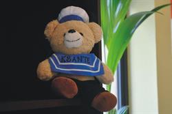 Ubezpieczenia KSANTE