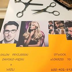 Salon u Wioli