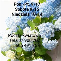 Kwiaciarnia i Usługi Pogrzebowe pod Aniołem