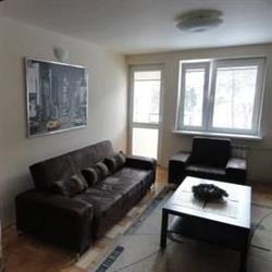 Apartament Czarny Potok