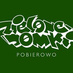 ZIELONE DOMKI. Całoroczne domki drewniane