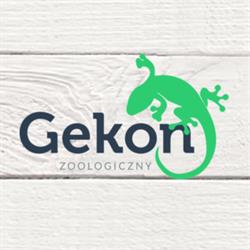 Gekon terrarystyczny