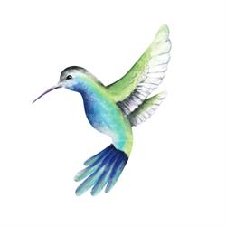 Colibri Makijaż Permanentny Aleksandra Ryżewska