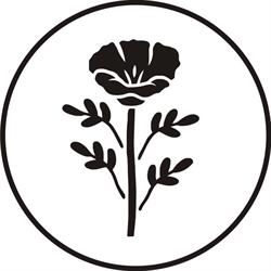 Kwiaciarnia jak makiem zasiał Aleksandra Nowak