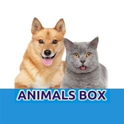 Animals Box Mielec