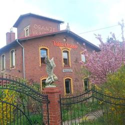 Villa Oranje