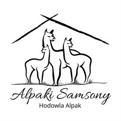Alpaki Samsony - Hodowla Alpak