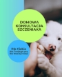 Domowa konsultacja szczeniaka