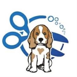 Puppy Psalon