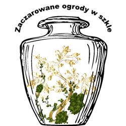 Zaczarowane ogrody w szkle