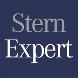 Stern Expert Warsztat Mercedes