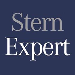 Stern Expert Warsztat Mercedes