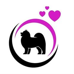 Pupilovespa