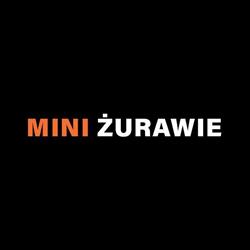 MINI ŻURAWIE - wynajem sprzętu do szklenia