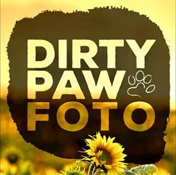 Dirty Paw Fotografia