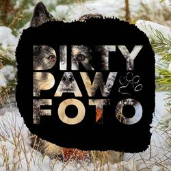 Dirty Paw Fotografia