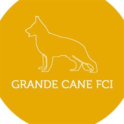 GRANDE CANE FCI