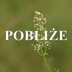 Fundacja Działań Lokalnych Pobliże