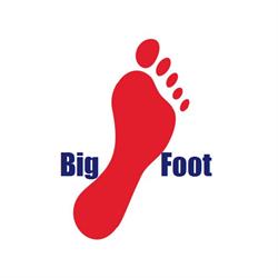 Big Foot Podologia