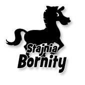 Stajnia Bornity
