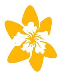 Szkoła językowa i biuro tłumaczeń Daffodil