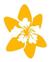 Szkoła językowa i biuro tłumaczeń Daffodil
