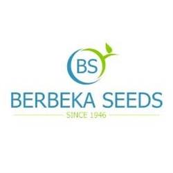 Berbeka Seeds
