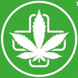 Sensi Hemp Kraków - Cannabis Shop - CBD Cracow