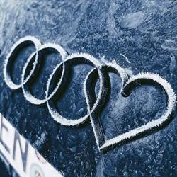 PRO-CARAUDI
