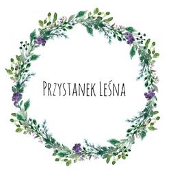 Przystanek Leśna