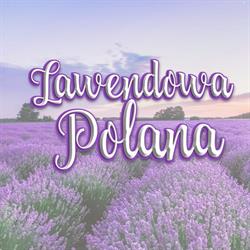 Lawendowa Polana