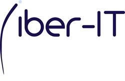 Fiber-IT Łukasz Wójs