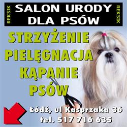 Salon Urody Dla Psów Reksik.pl