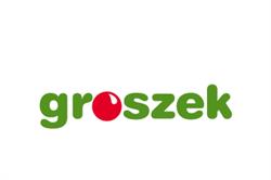 Groszek
