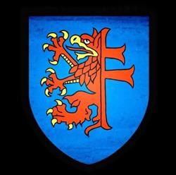 Zastęp krzyżogryfa