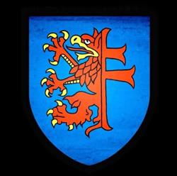 Zastęp krzyżogryfa