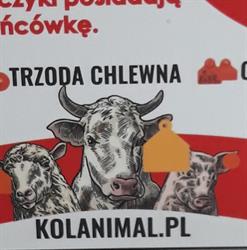 Kolanimal.pl