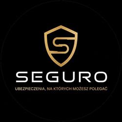Seguro Detailing