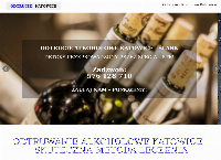 Strona internetowa z Odtrucie alkoholowe Katowice