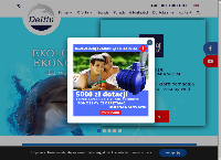 Strona internetowa z Delfin Sp. z o.o.