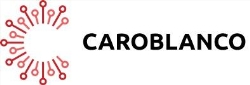 Pomoc dla pracodawców Caroblanco Karolina Kurbiel