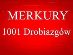 1001 Drobiazgów