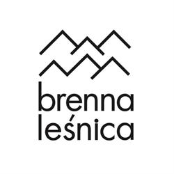 Brenna Leśnica - dom na wynajem