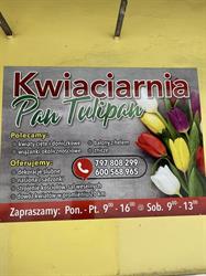 Kwiaciarnia Pan Tulipan