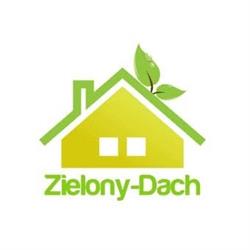 Zielony dach