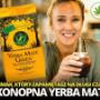 Konopna Yerba Mate
